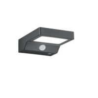 Trio FOMOSA LED wall light