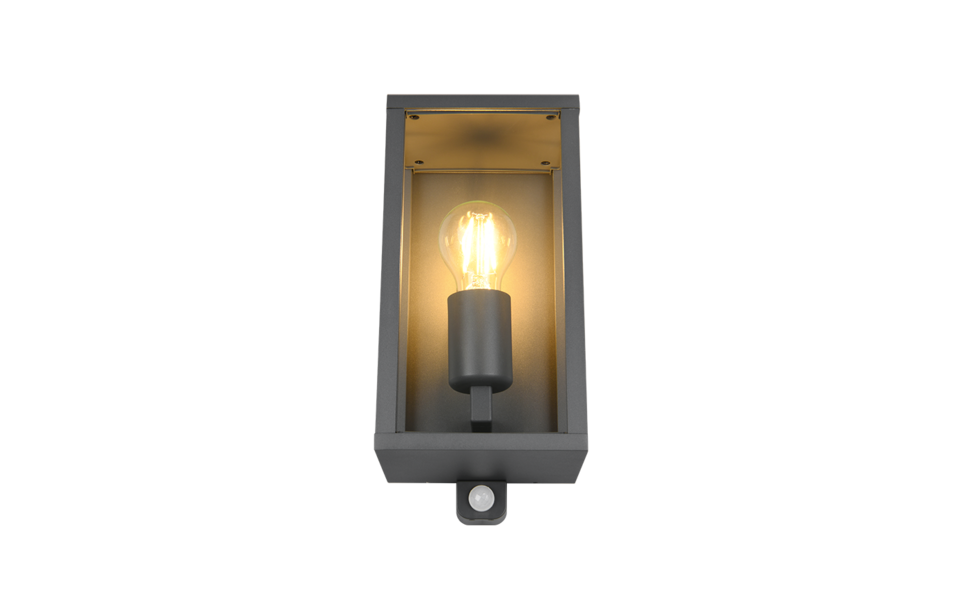 Trio Lighting Trio GARONNE wall light | 1x E27 max 40W | 29 cm