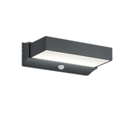 Trio CUANDO LED wall light
