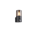 Trio Lighting Trio HOOSIC wall light | 1x E27 max 40W | black | 17.5 cm