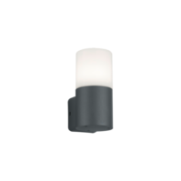 Trio HOOSIC wall light | E27