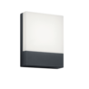 Kleur Kleur