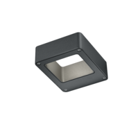 Trio RENO LED wall light