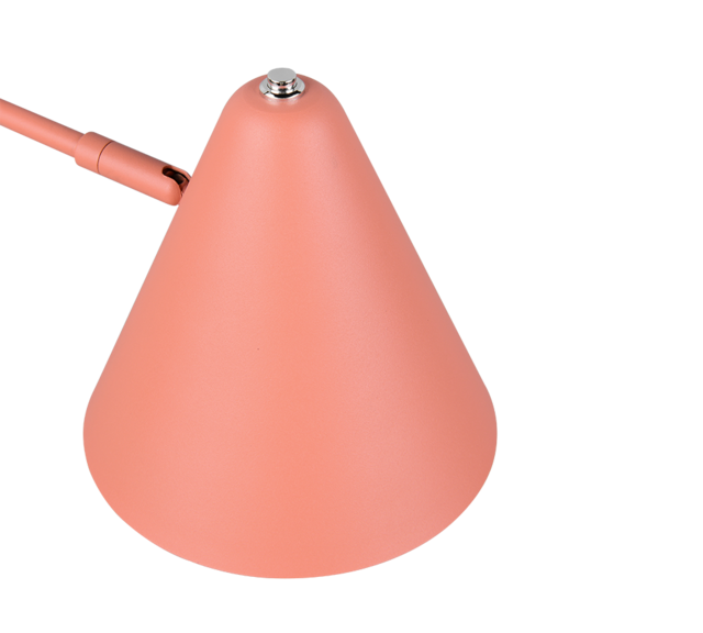 abrikoos
