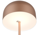 Trio Lighting Trio JEFF LED floor lamp | 1x 2.5W 250 lm 3000K | mocha brown | Ø 25 cm | IP20 | 147 cm