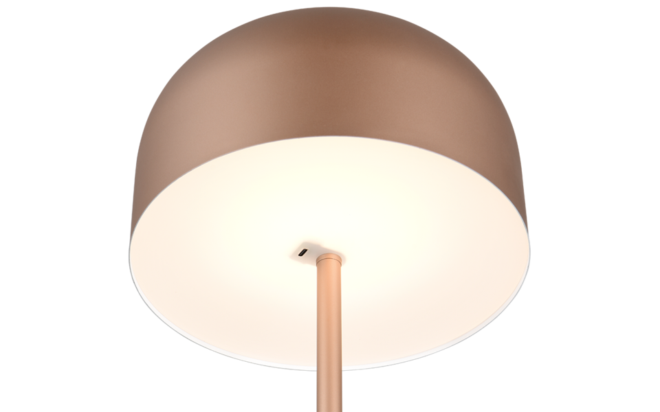 Trio Lighting Trio JEFF vloerlamp | LED | koffie | Ø 25 cm | IP20 | 1x 2,5W | 250 lm | 3000K