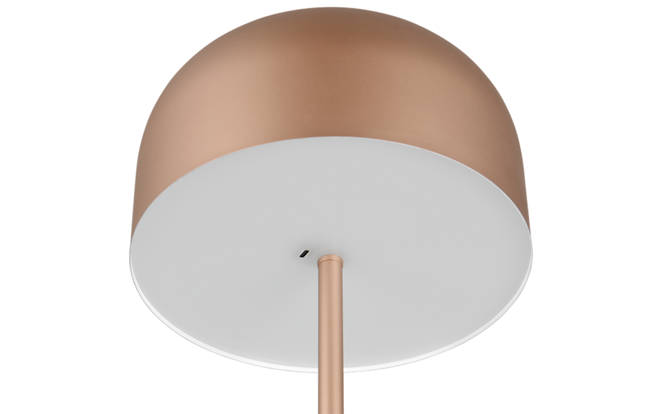 Trio Lighting Trio JEFF LED floor lamp | 1x 2.5W 250 lm 3000K | mocha brown | Ø 25 cm | IP20 | 147 cm