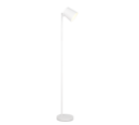 Trio Lighting Trio BLAKE LED floor lamp | 1x 4.5W 350 lm 3000K | chrome | IP20 | 125 cm