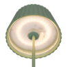 Pistaziengrün
