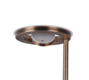 Trio Lighting Trio BARRIE vloerlamp | LED | oud brons | Ø 30 cm | IP20 | 32W,6W | 3700 lm, 1x 700 lm | 2700+4000K | dimbaar