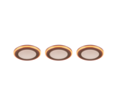 Trio Lighting Trio ARGUS recessed spotlight | IP20 | 4 cm