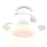 Kleur Kleur