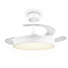 Kleur