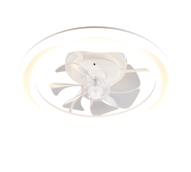 Kleur