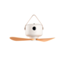 Wit