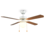 Kleur