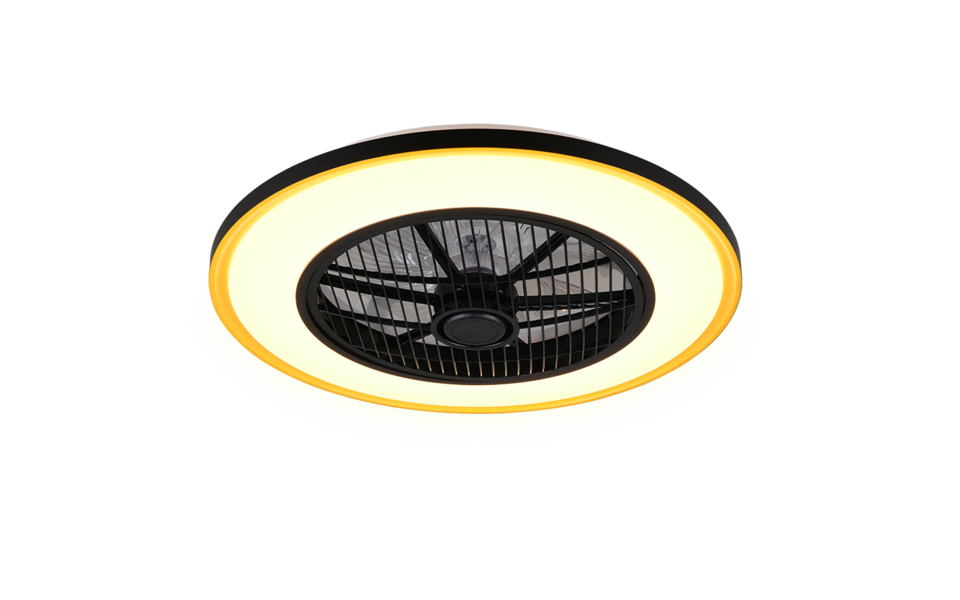 Trio Lighting Trio VARPULA LED ceiling fan light | 1x 30W 3100 lm 2700-6500K | black with gold | Ø 55 cm | IP20 | 20 cm
