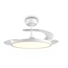 Kleur