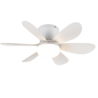 Kleur Kleur