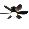 Kleur Kleur