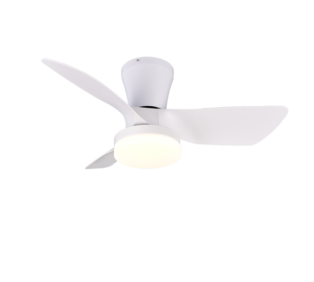 Kleur