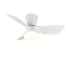 Kleur