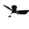 Kleur