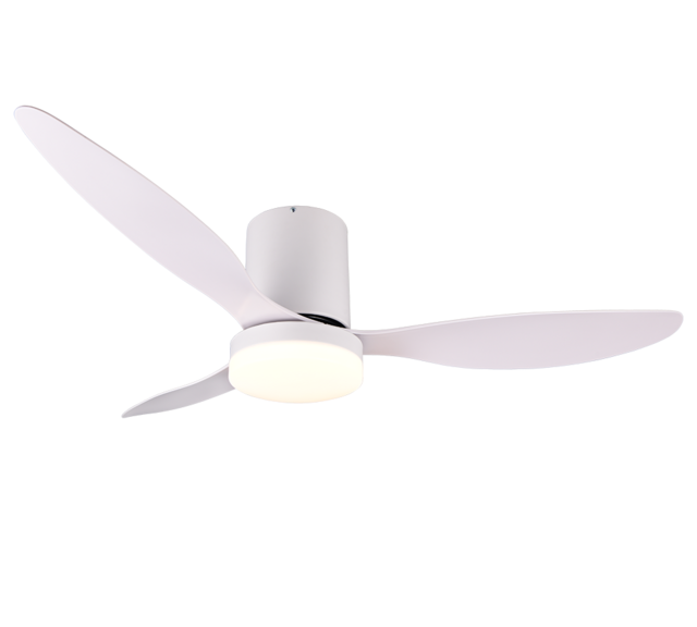 Kleur