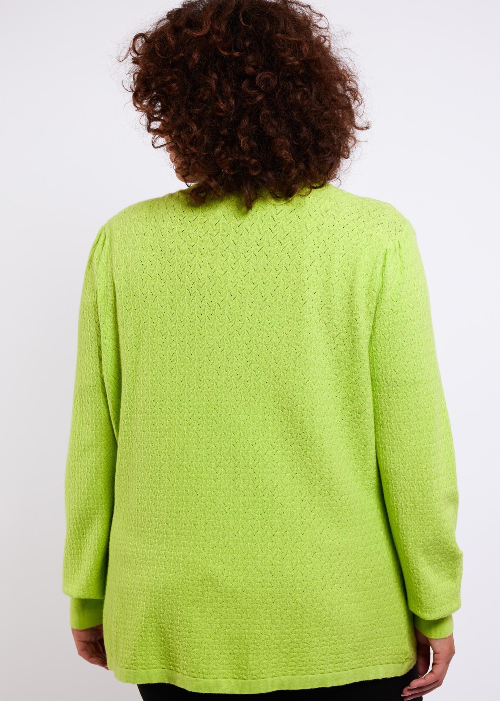 Exxcellent Rosalin Vest Limoen Maat 44