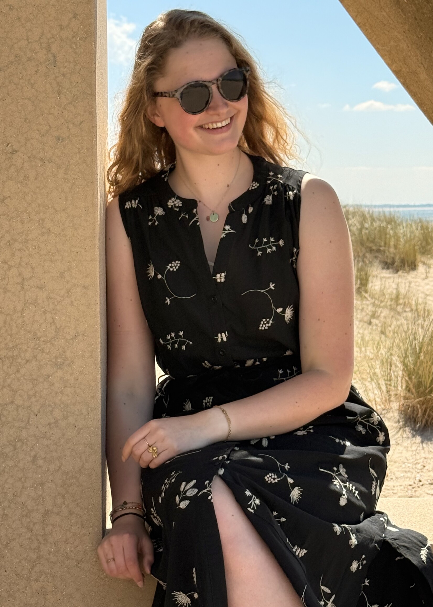 C&S The Label Sorrento Dress Black