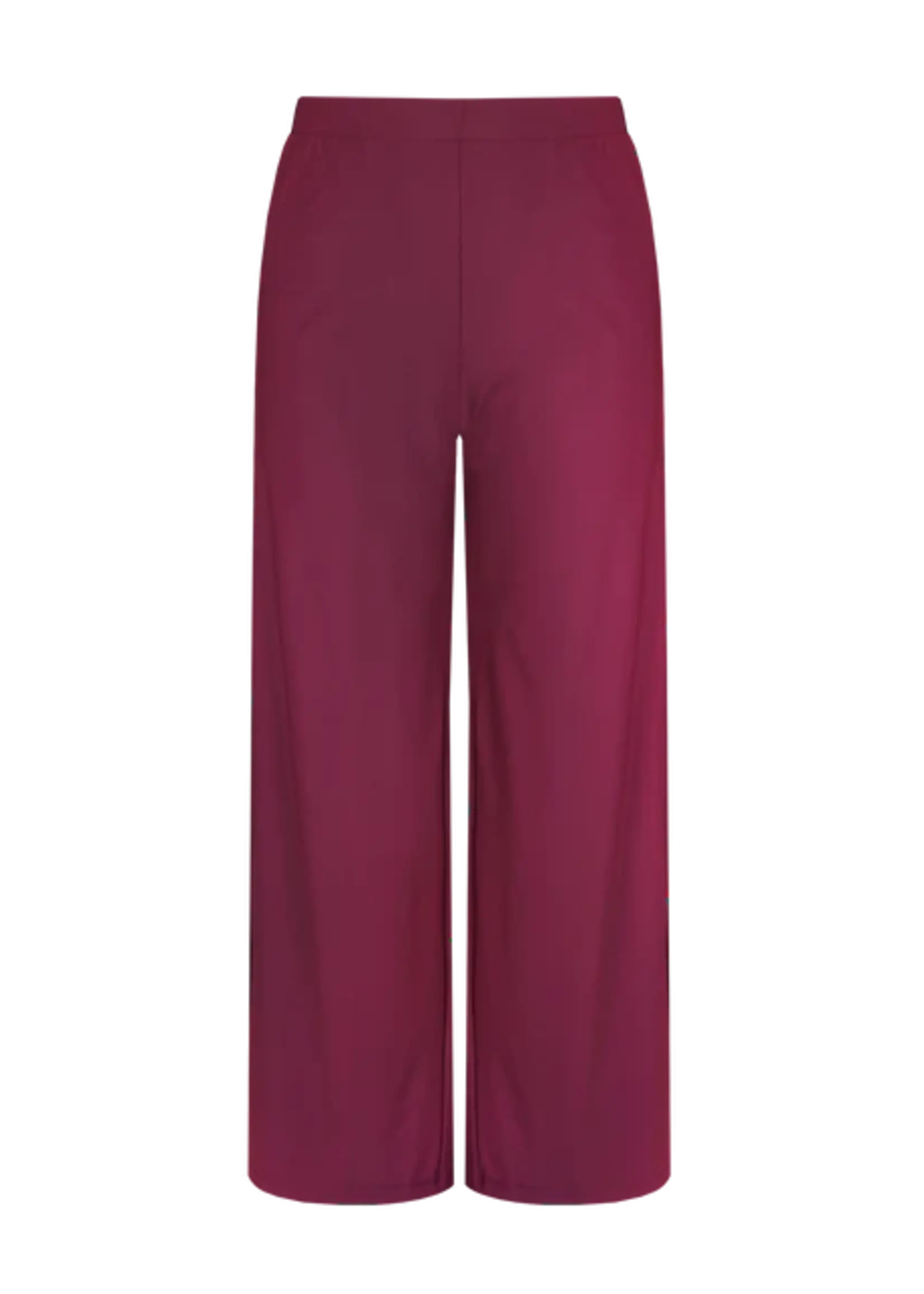 Exxcellent Shay Pants Mauve Wine