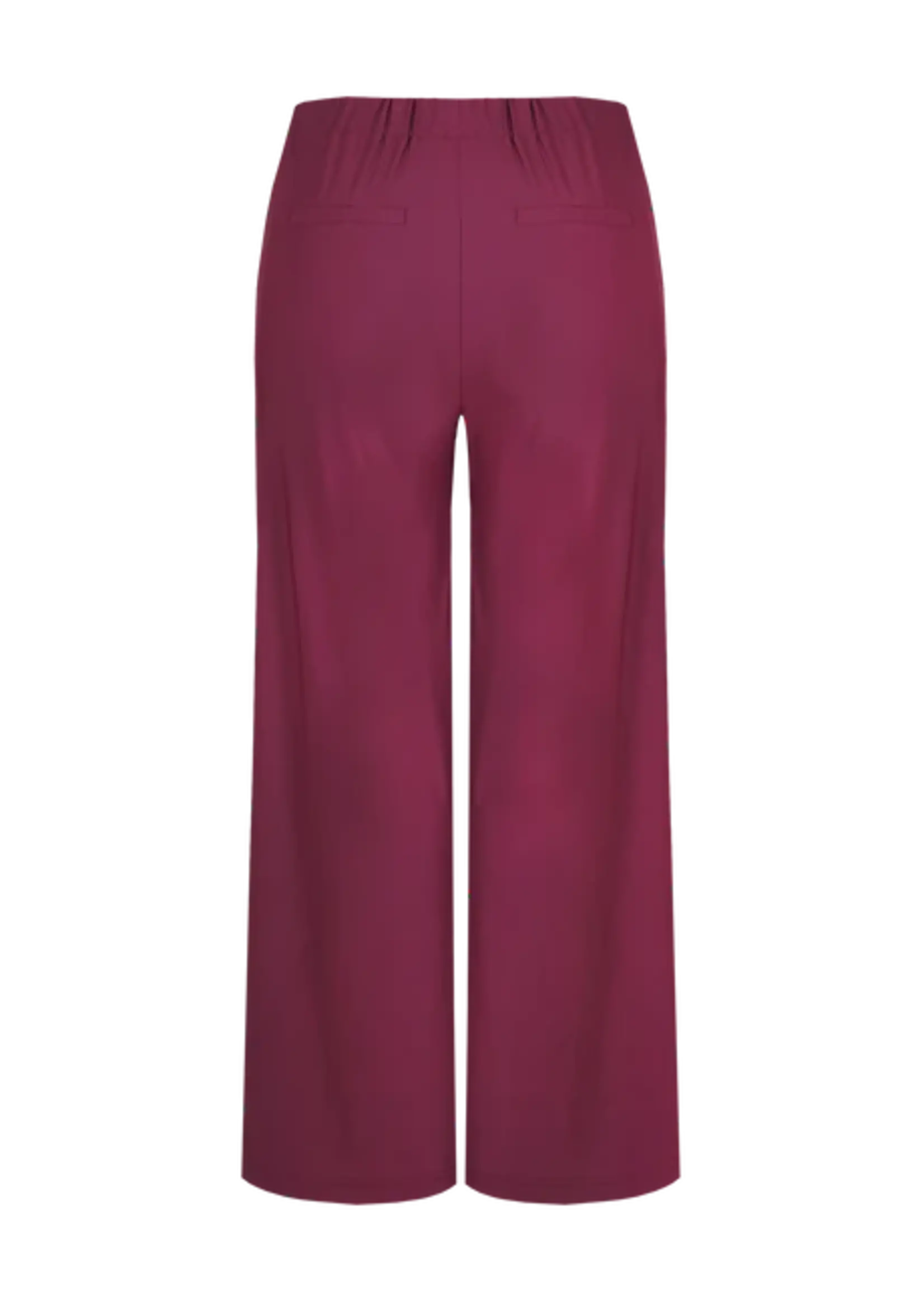 Exxcellent Shay Pants Mauve Wine