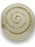 Cubes Cube Schelp offwhite