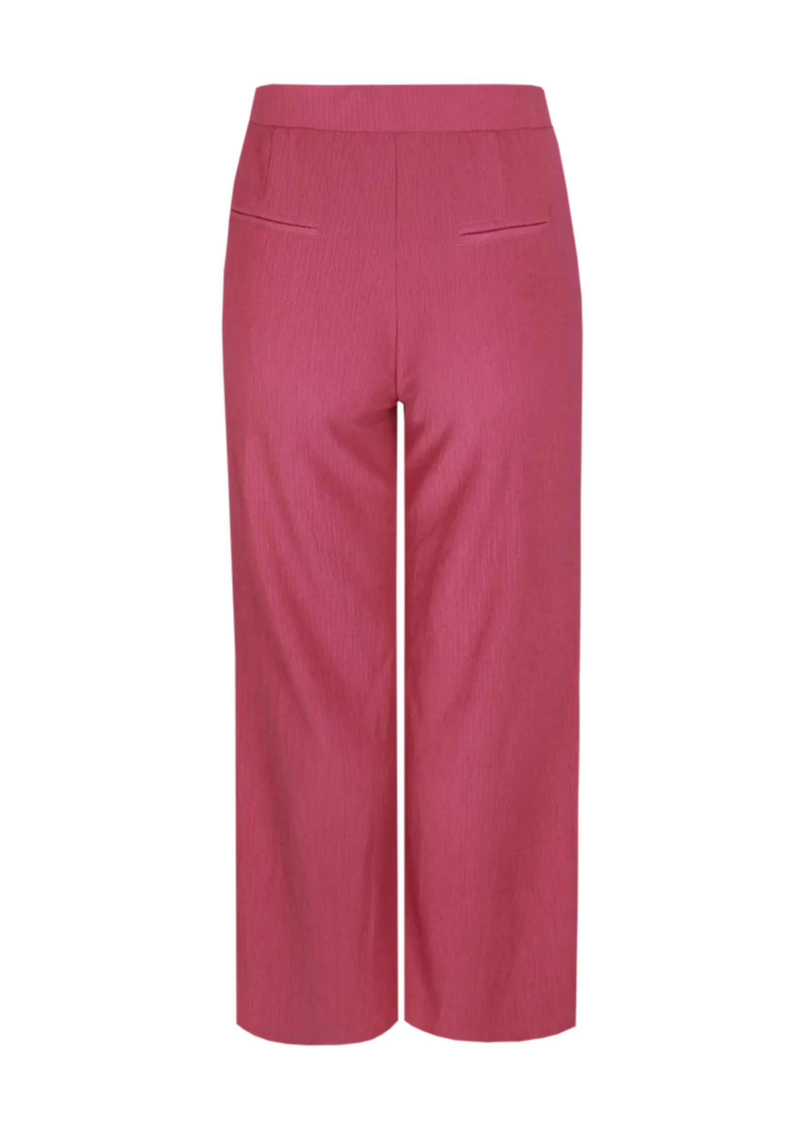 Exxcellent Alaini Pants Grape