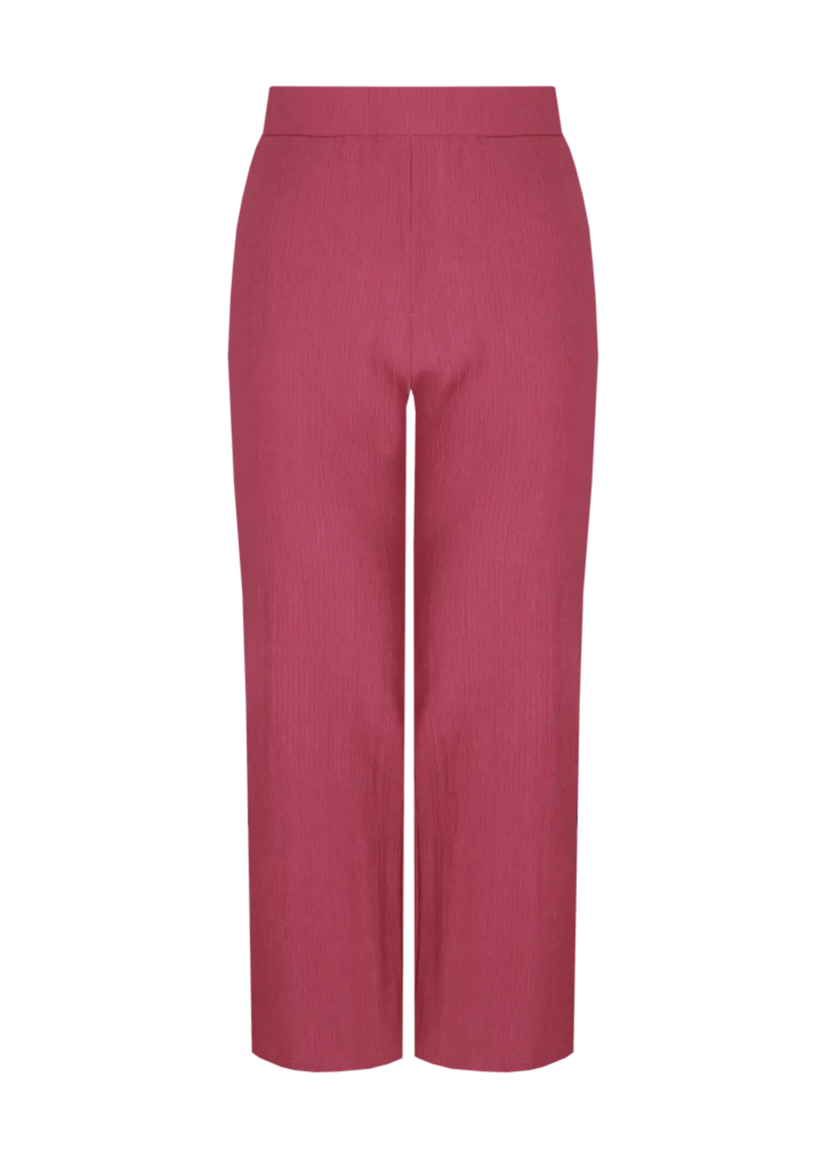 Exxcellent Alaini Pants Grape