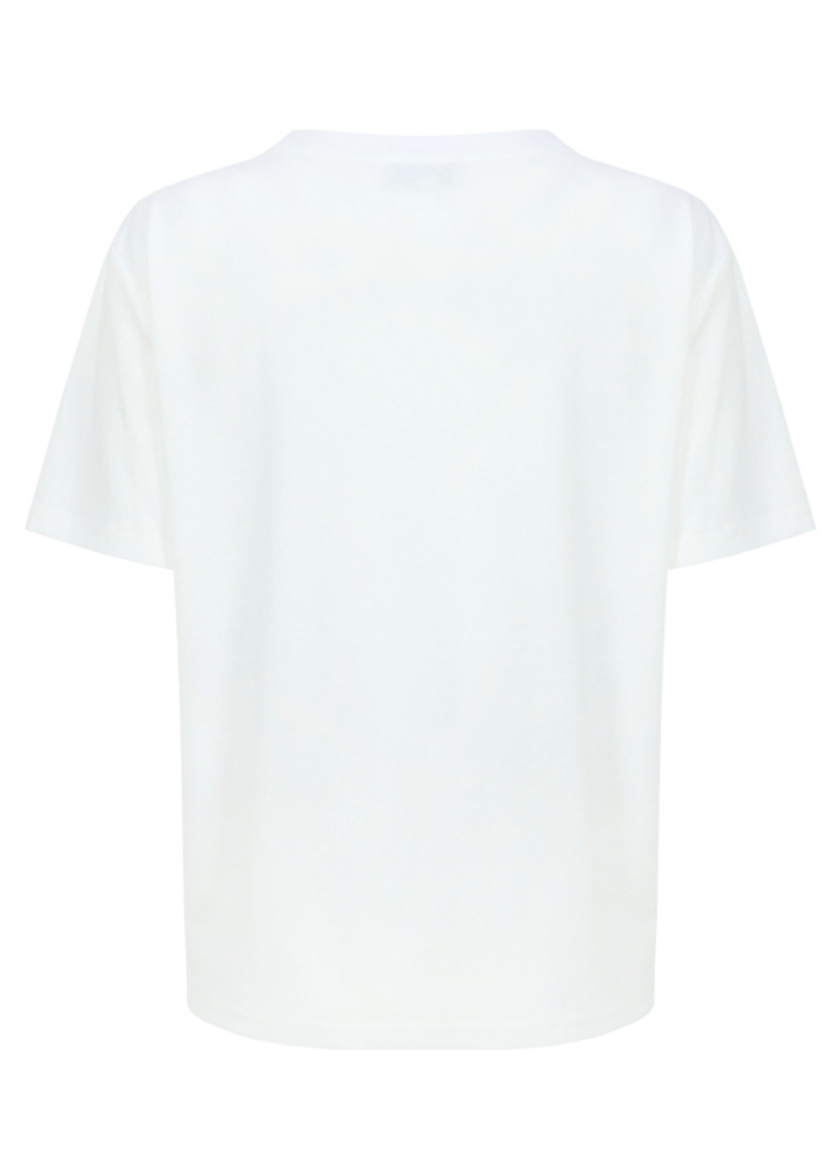 C&S The Label Tika T-shirt Offwhite/Willow Green Maat XS/S
