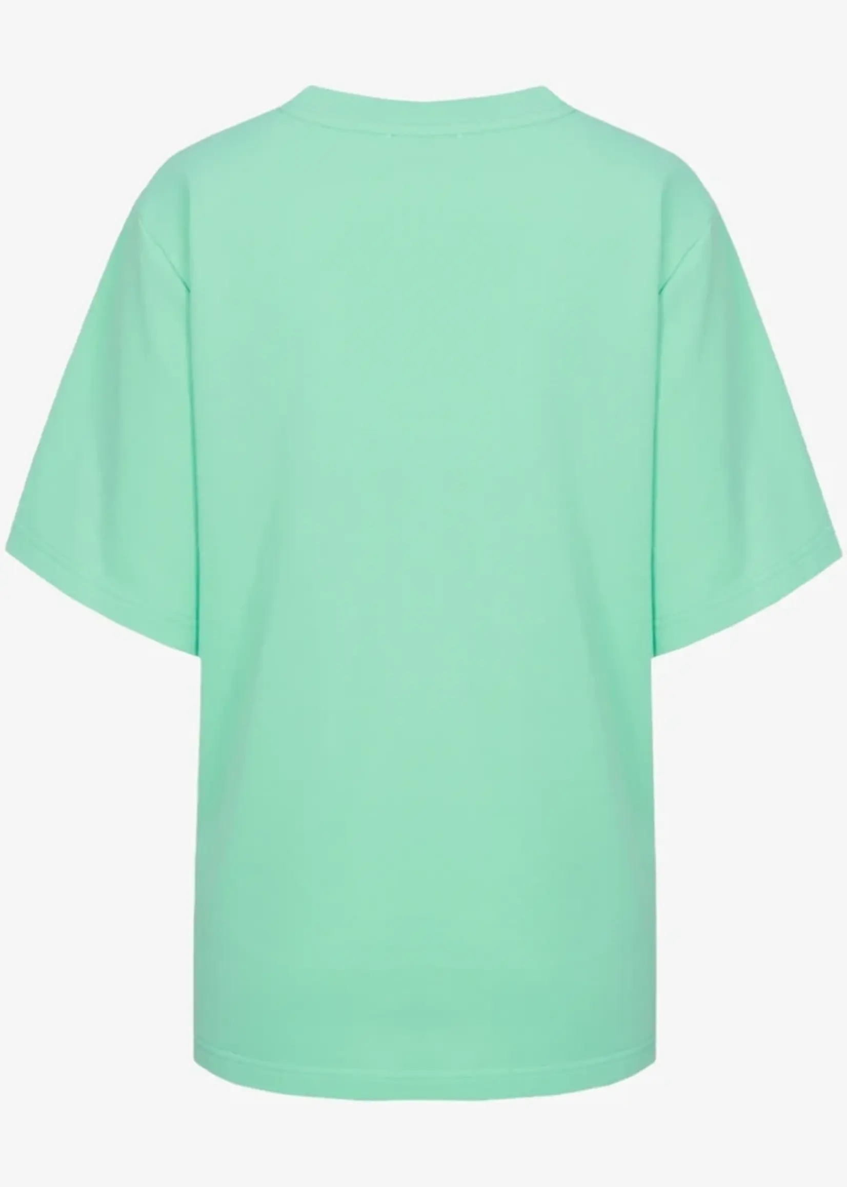 FLURESK Brix T-shirt Fresh Mint Maat 34