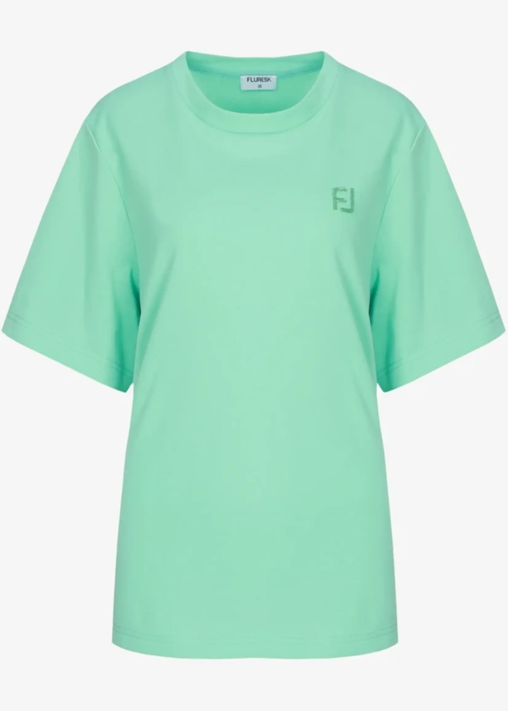 FLURESK Brix T-shirt Fresh Mint Maat 34