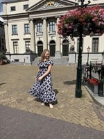 Kenzy Dress Brown Blue