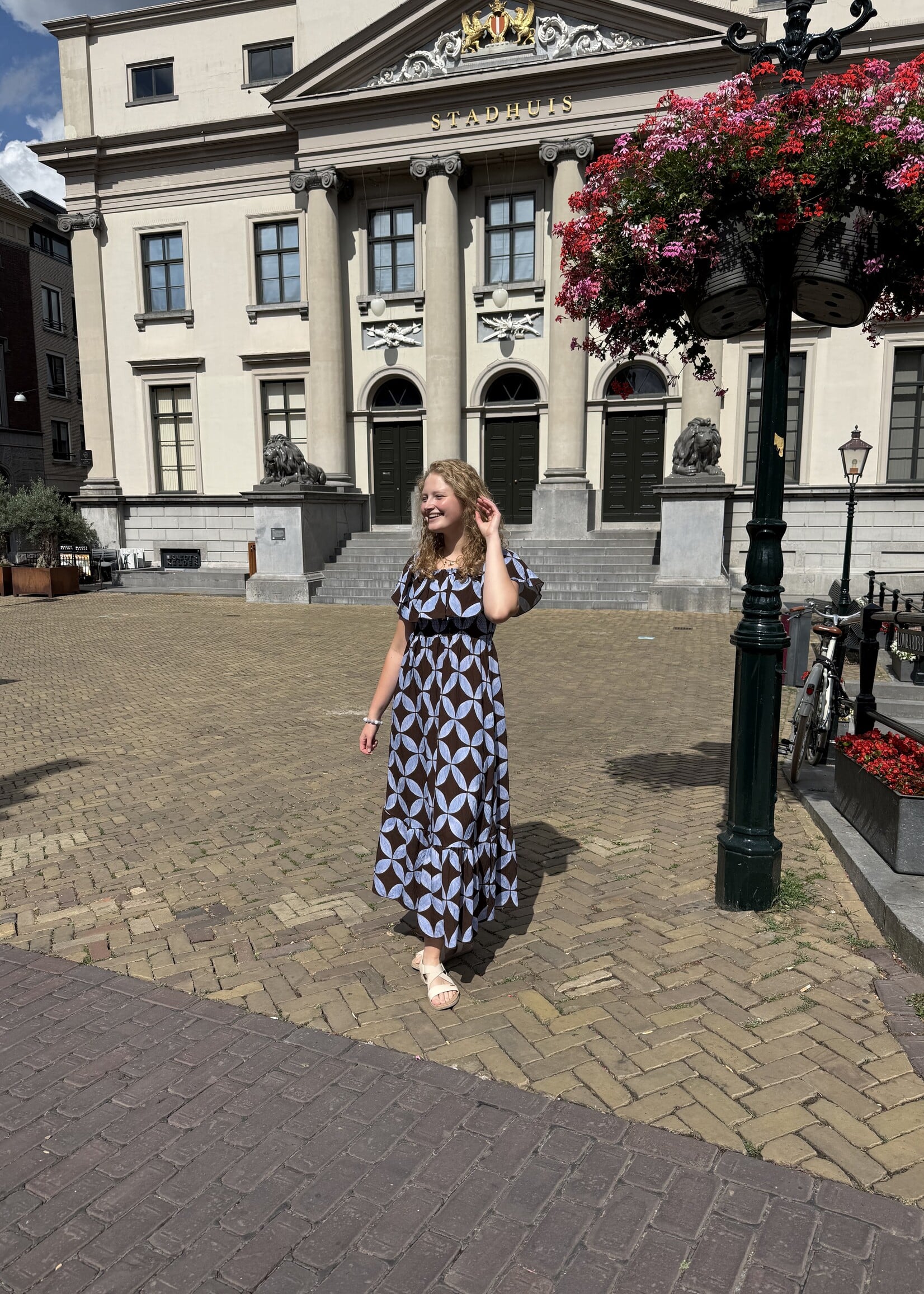 Kenzy Dress Brown Blue