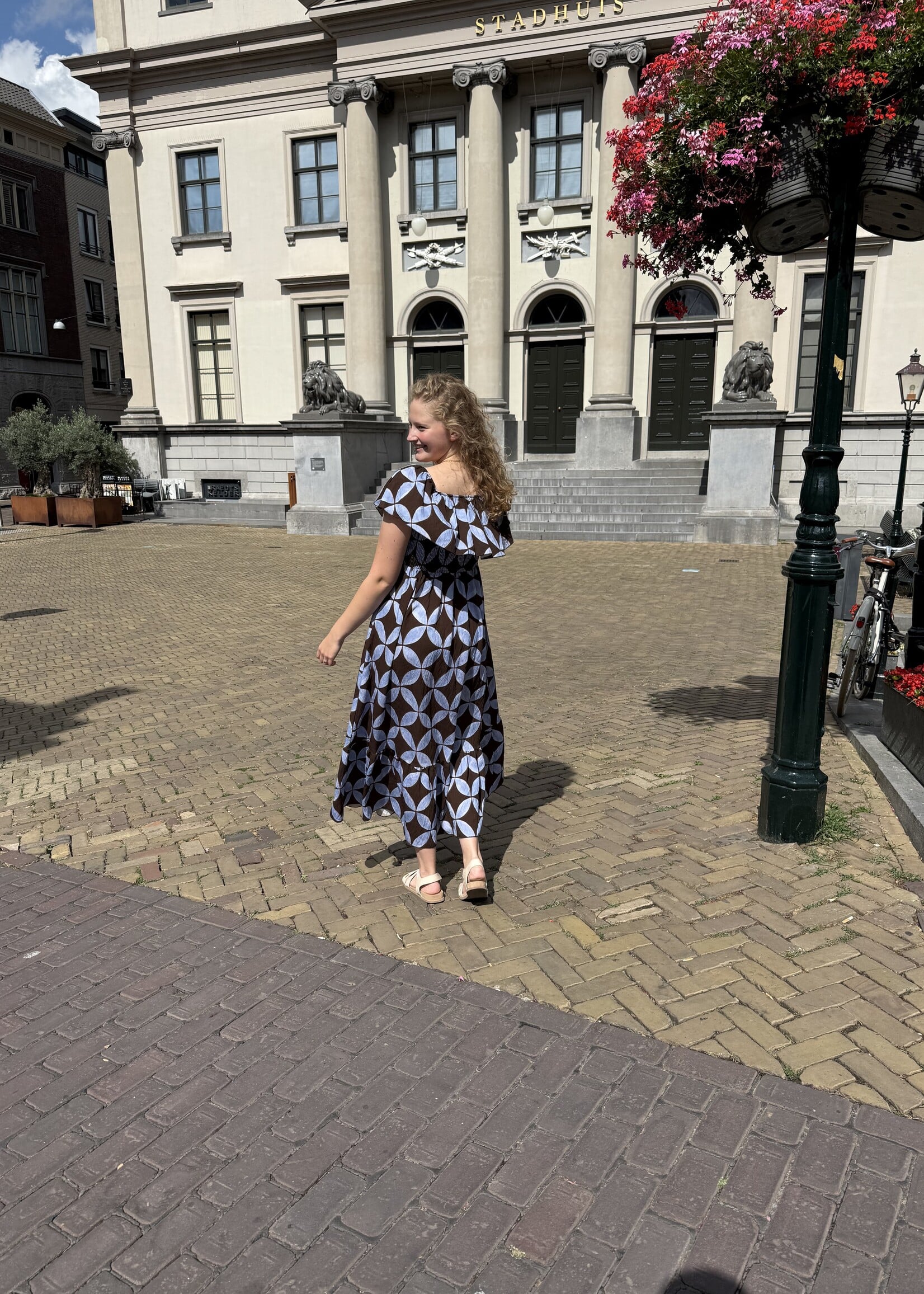 Kenzy Dress Brown Blue