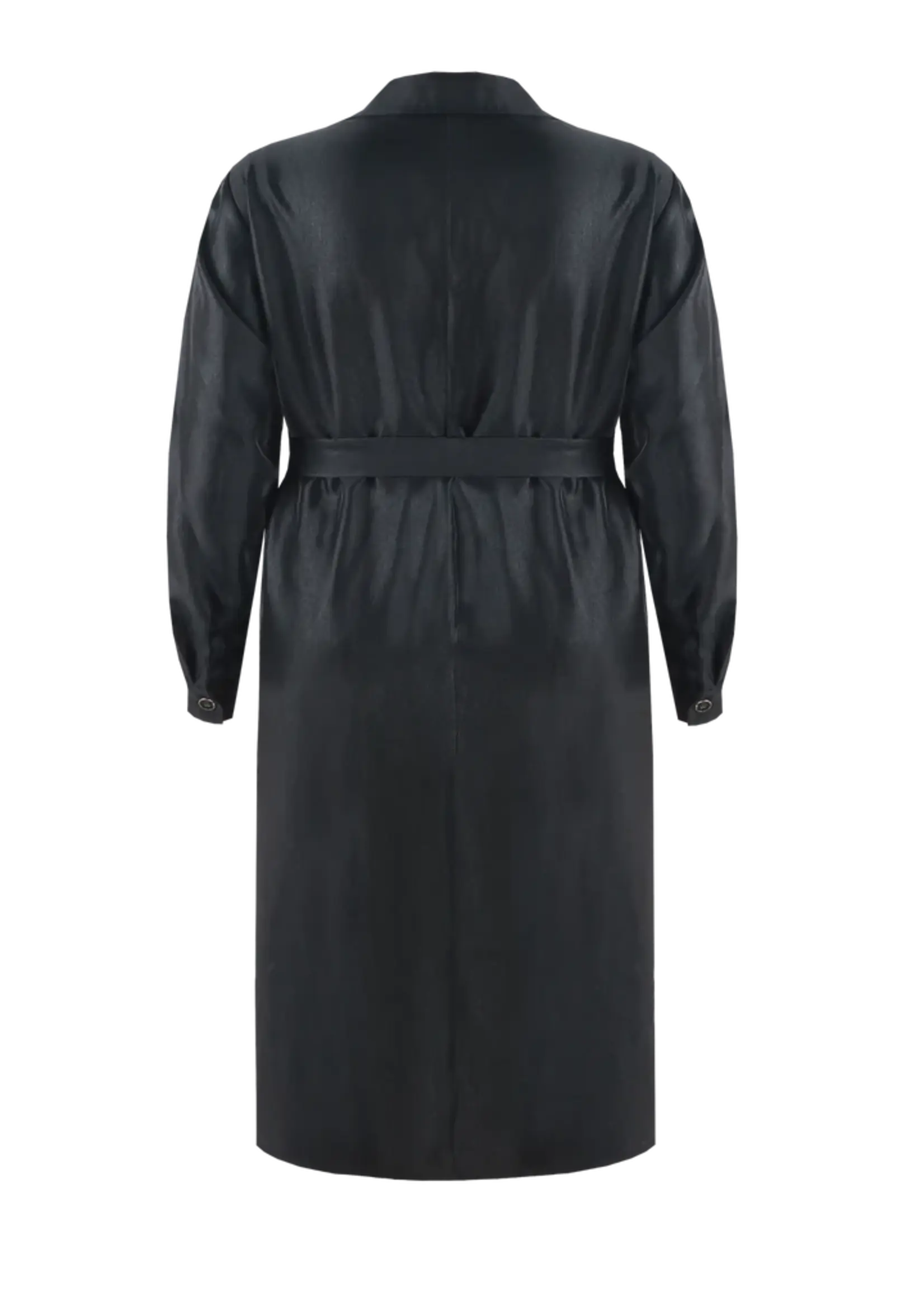 Exxcellent Erica Dress Black
