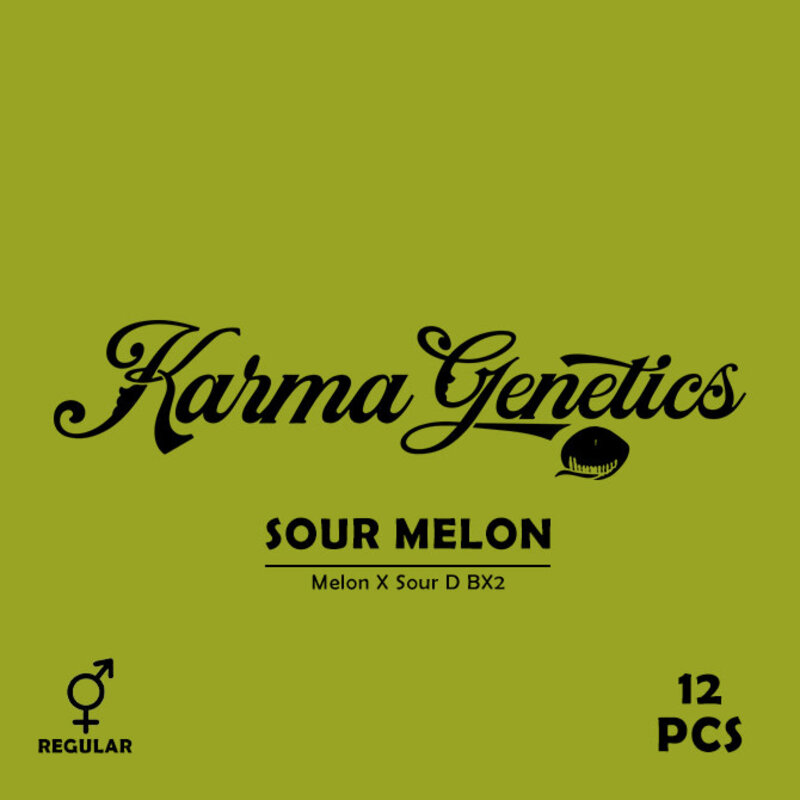 Karma Genetics Regular Seeds - Sour Melon