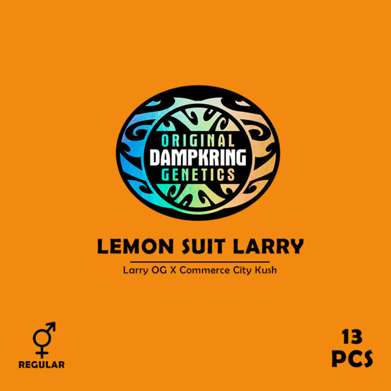 Dampkring Lemon Suit Larry