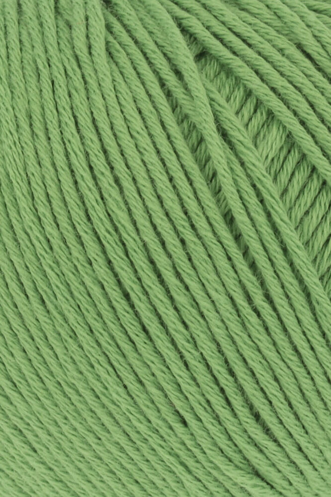 Lang Lang Yarns BabyCotton | 0017 appelgroen Lang Lang Yarns BabyCotton | 0017 appelgroen