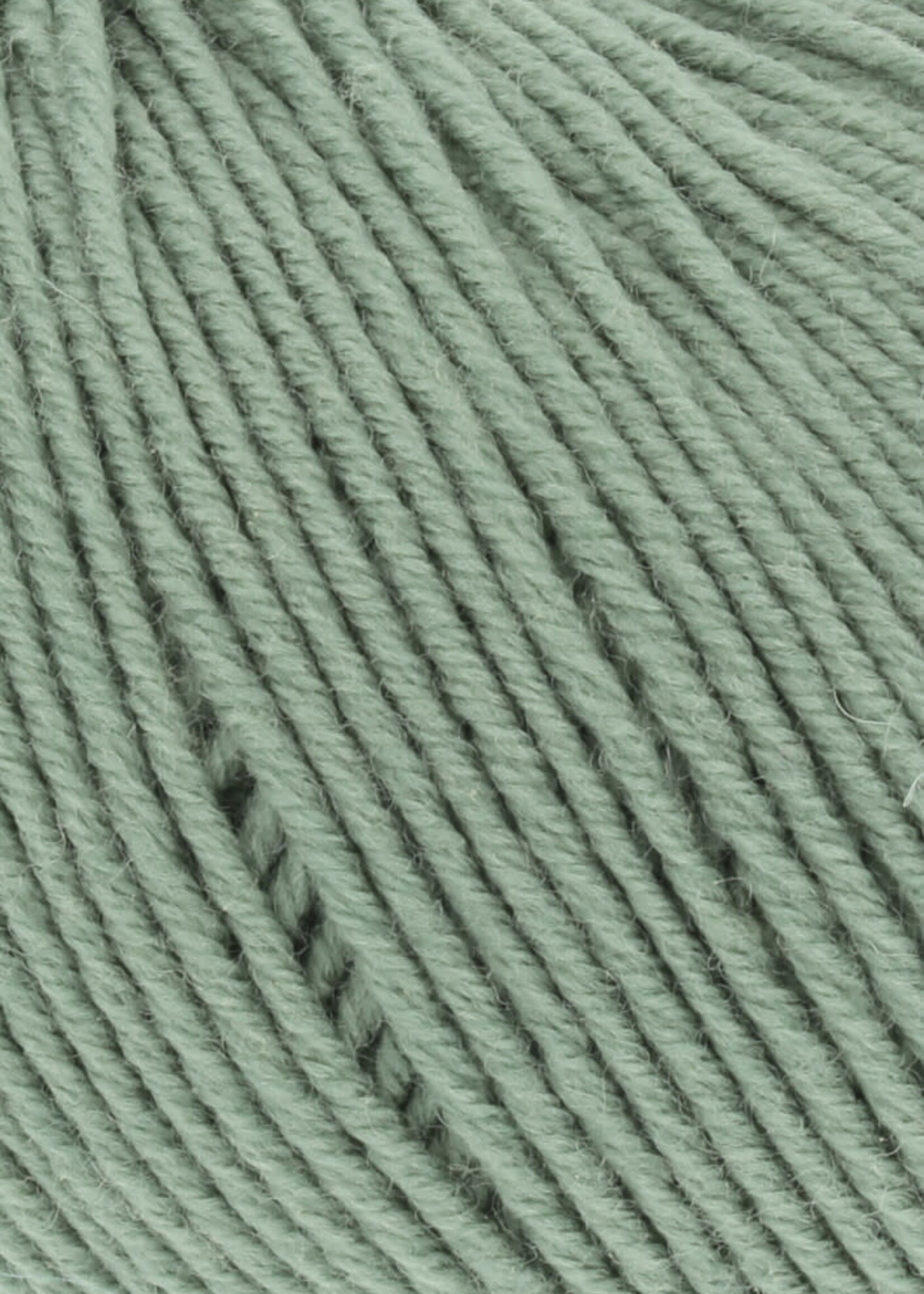 Lang Lang Yarns Merino 150 | 0091 mat groen