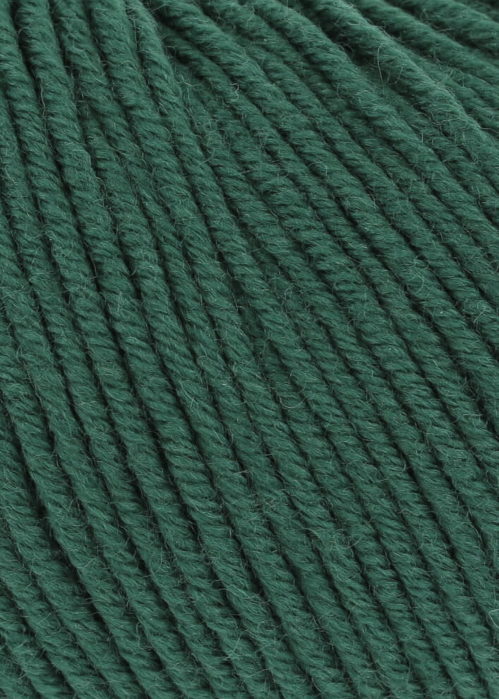 Lang Lang Yarns Merino 120 | 0318 donkergroen