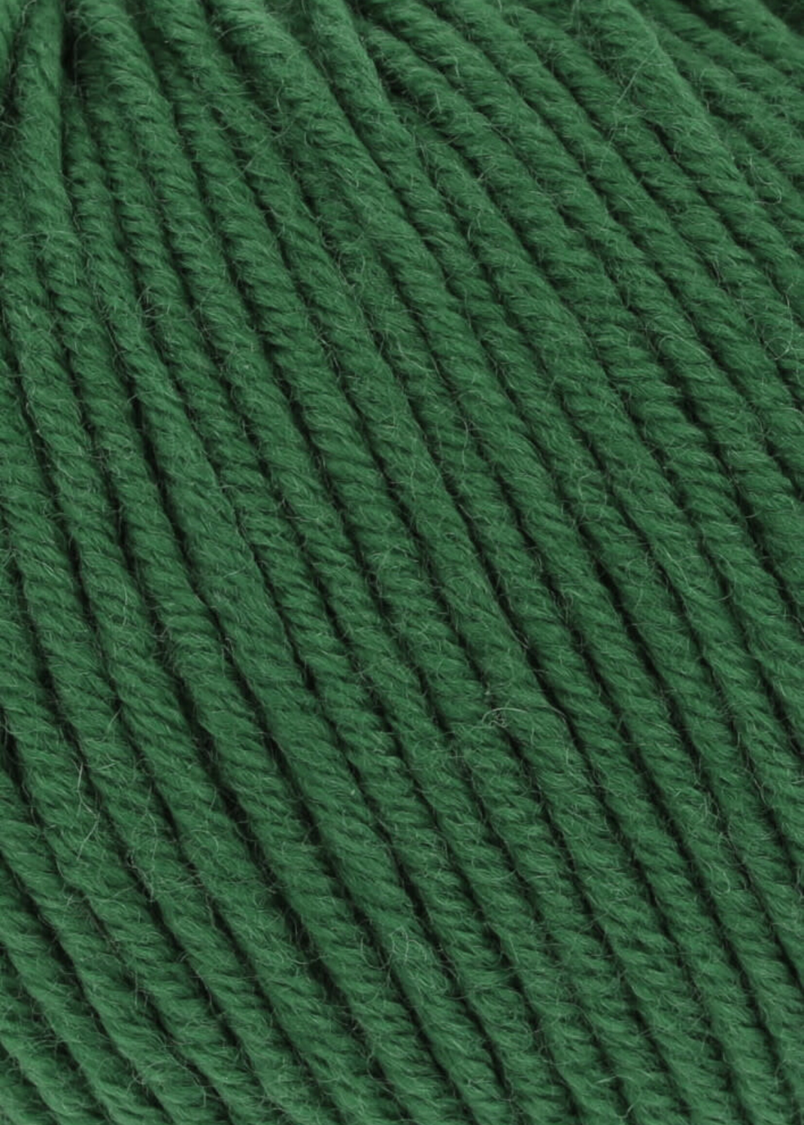Lang Lang Yarns Merino 120 | 0417 gras groen