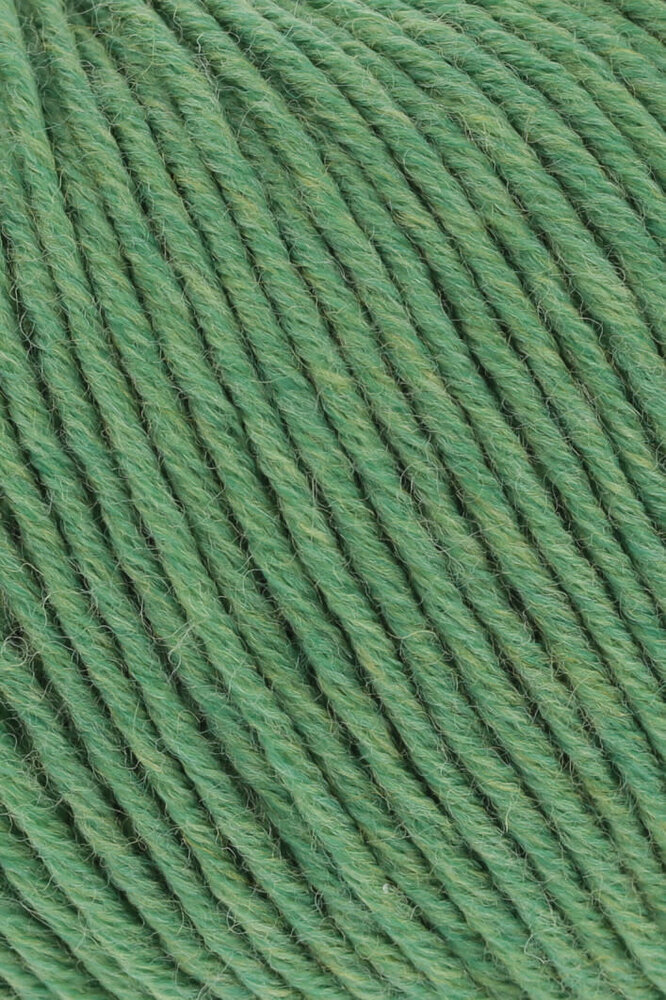 Lang Lang Yarns Merino 120 | 0317 groen melange Lang Lang Yarns Merino 120 | 0317 groen melange