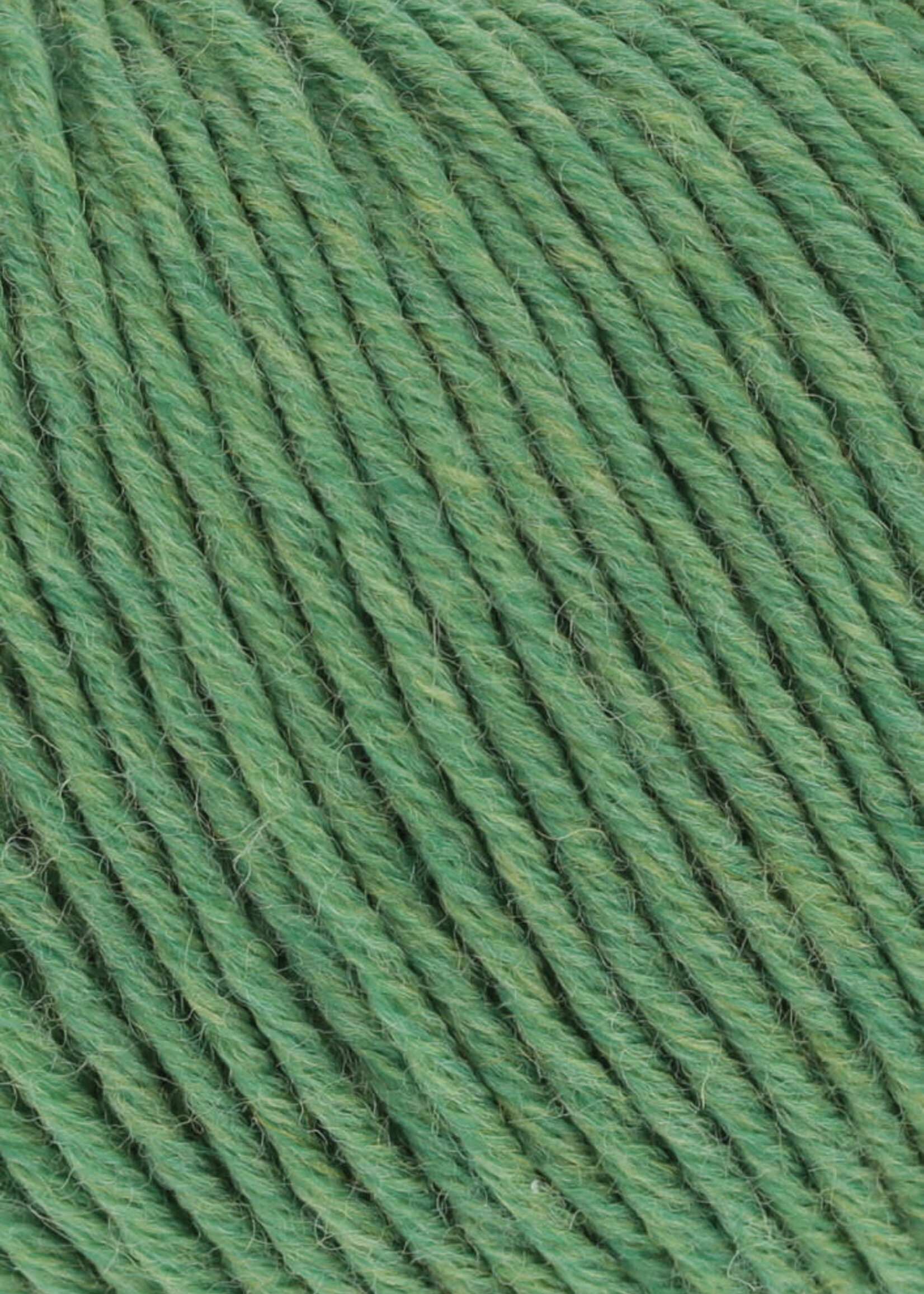 Lang Lang Yarns Merino 120 | 0317 groen melange